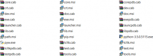 The files that make up the Python 3.5 installer layout